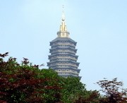 钟楼天气预报15天